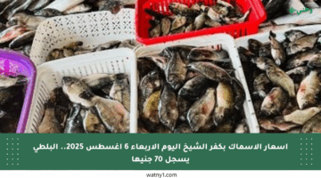 أسعار الأسماك بكفر الشيخ اليوم الأربعاء 6 أغسطس 2025.. البلطى يسجل 70 جنيها